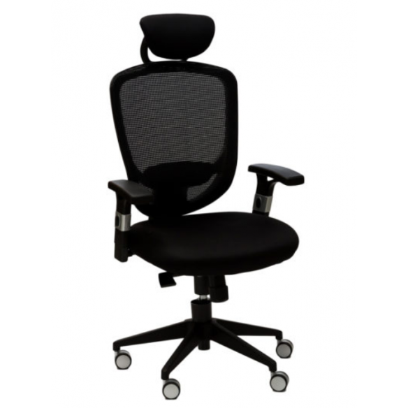 N ° 929A Avenir de Haute ou de Basse - Président