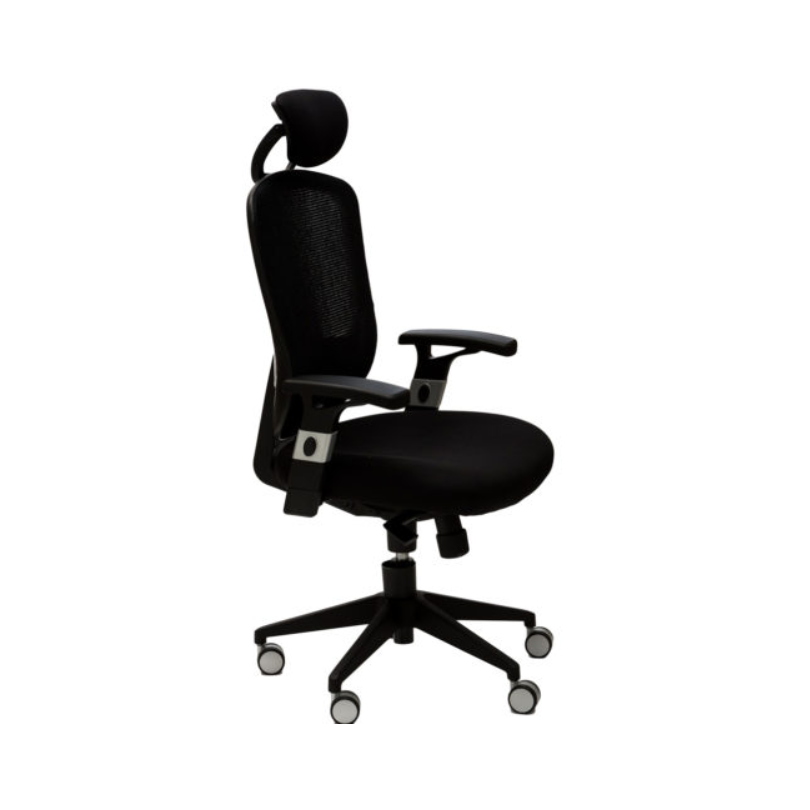 N ° 929A Avenir de Haute ou de Basse - Président