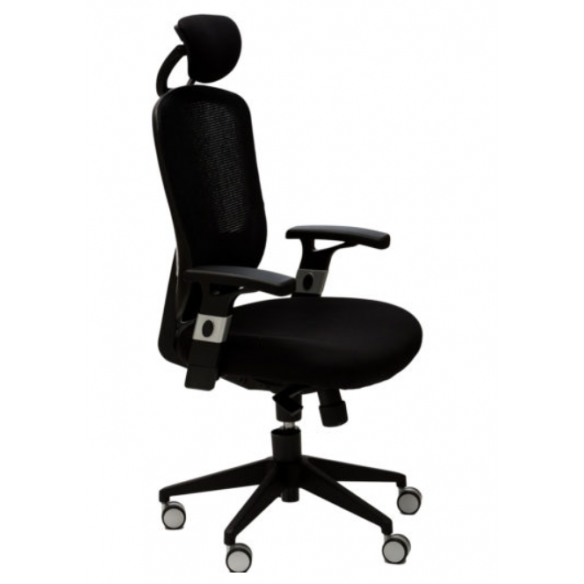 N ° 929A Avenir de Haute ou de Basse - Président