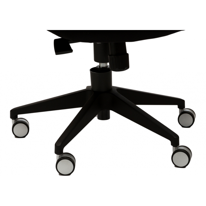 N ° 929A Avenir de Haute ou de Basse - Président