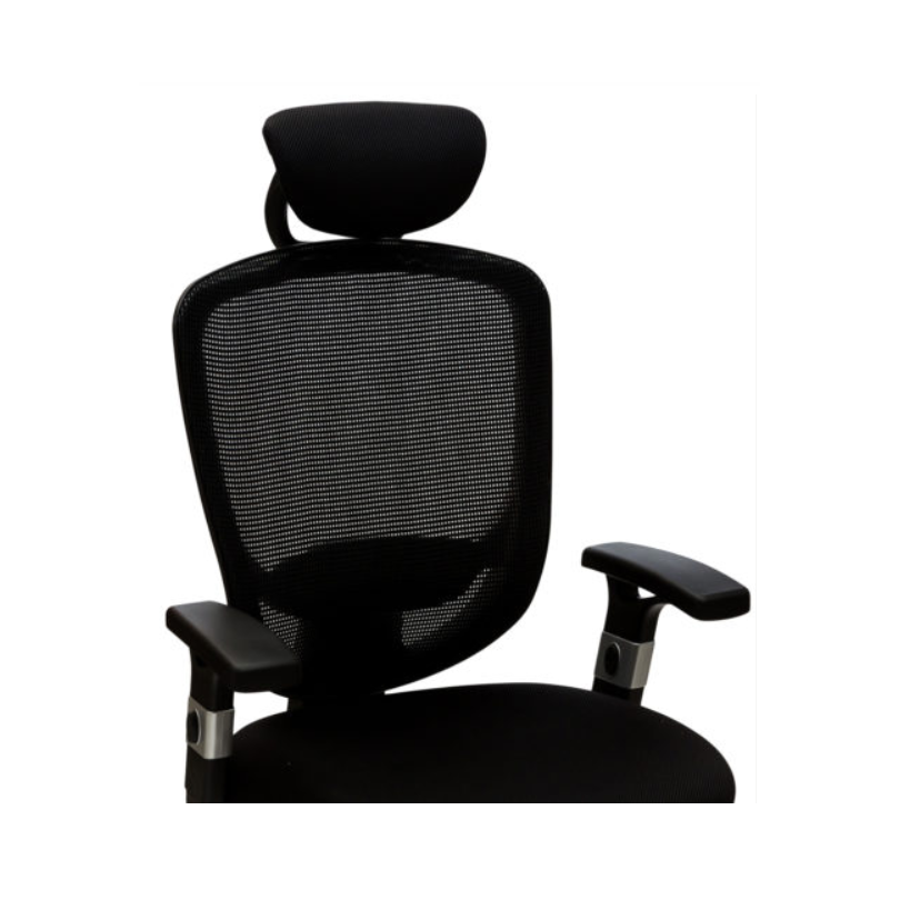 N ° 929A Avenir de Haute ou de Basse - Président