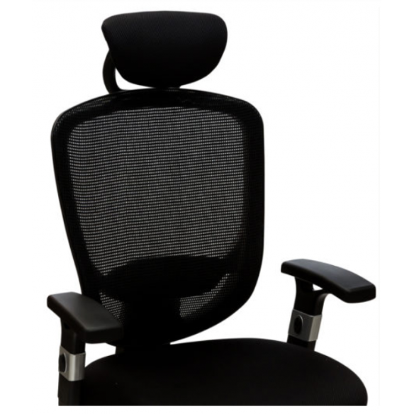 N ° 929A Avenir de Haute ou de Basse - Président